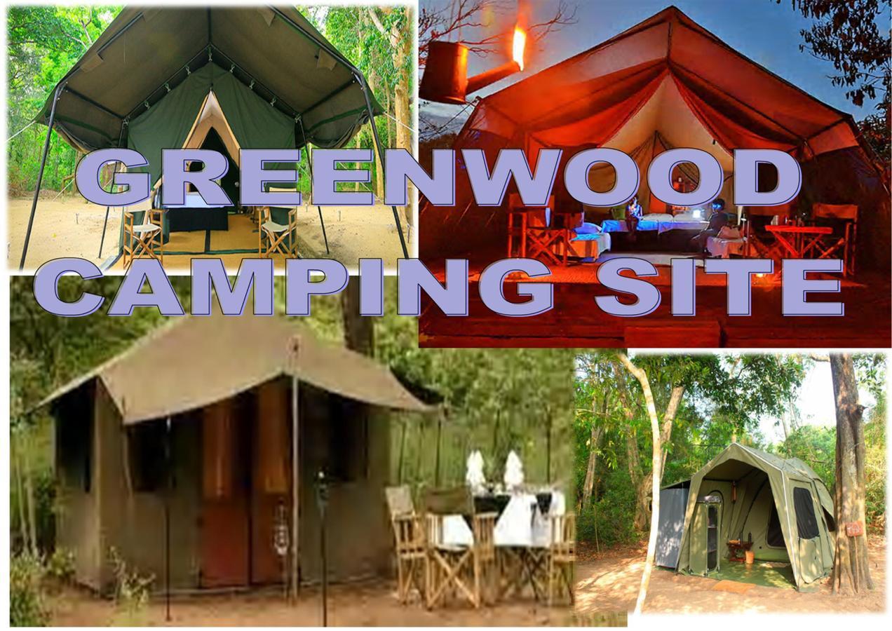 Greenwood Udawalawa Safari Resort Udawalawe Exteriér fotografie