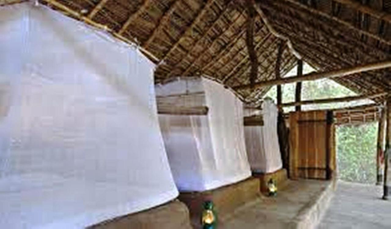Greenwood Udawalawa Safari Resort Udawalawe Exteriér fotografie